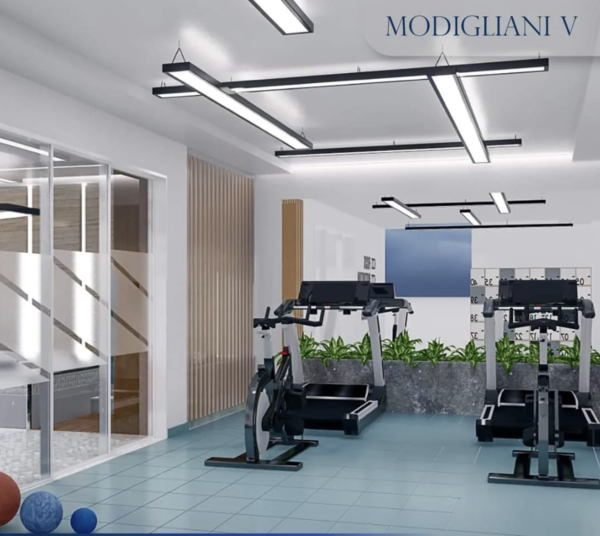 modigliani gym